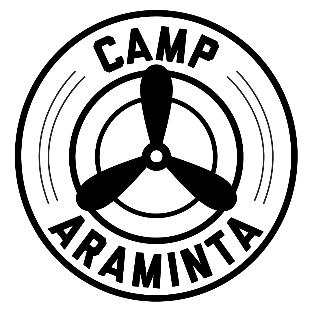 Featured image for “Camp Araminta”