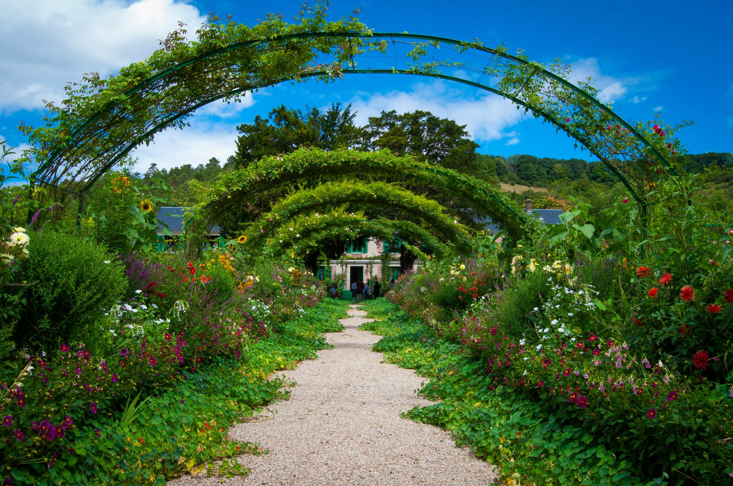 Featured image for “A Pathway to Flourishing”