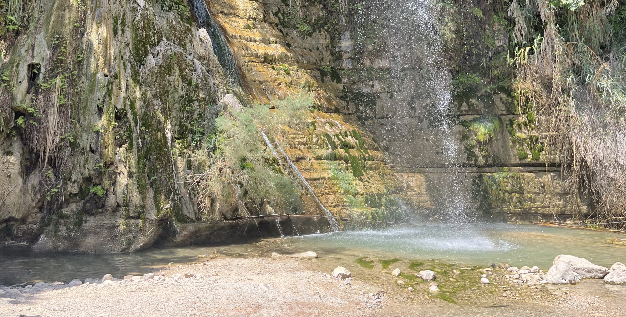Featured image for “Wind, Waves, and the Strongholds of Ein Gedi: Reflections on our trip to Israel”