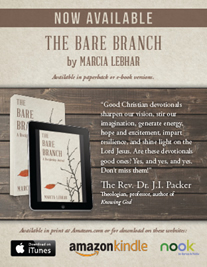 Bare Branch