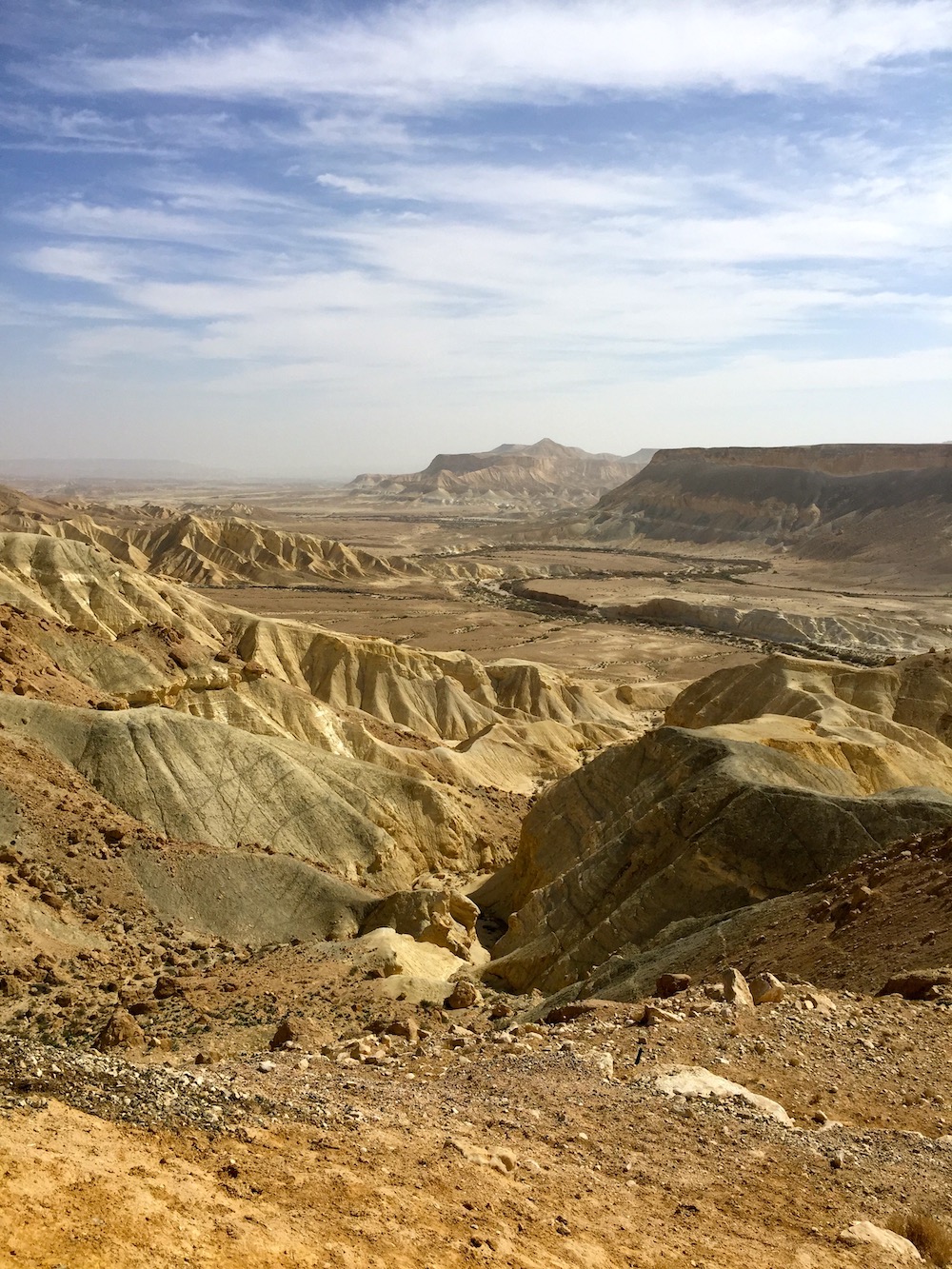 desert vertical sm