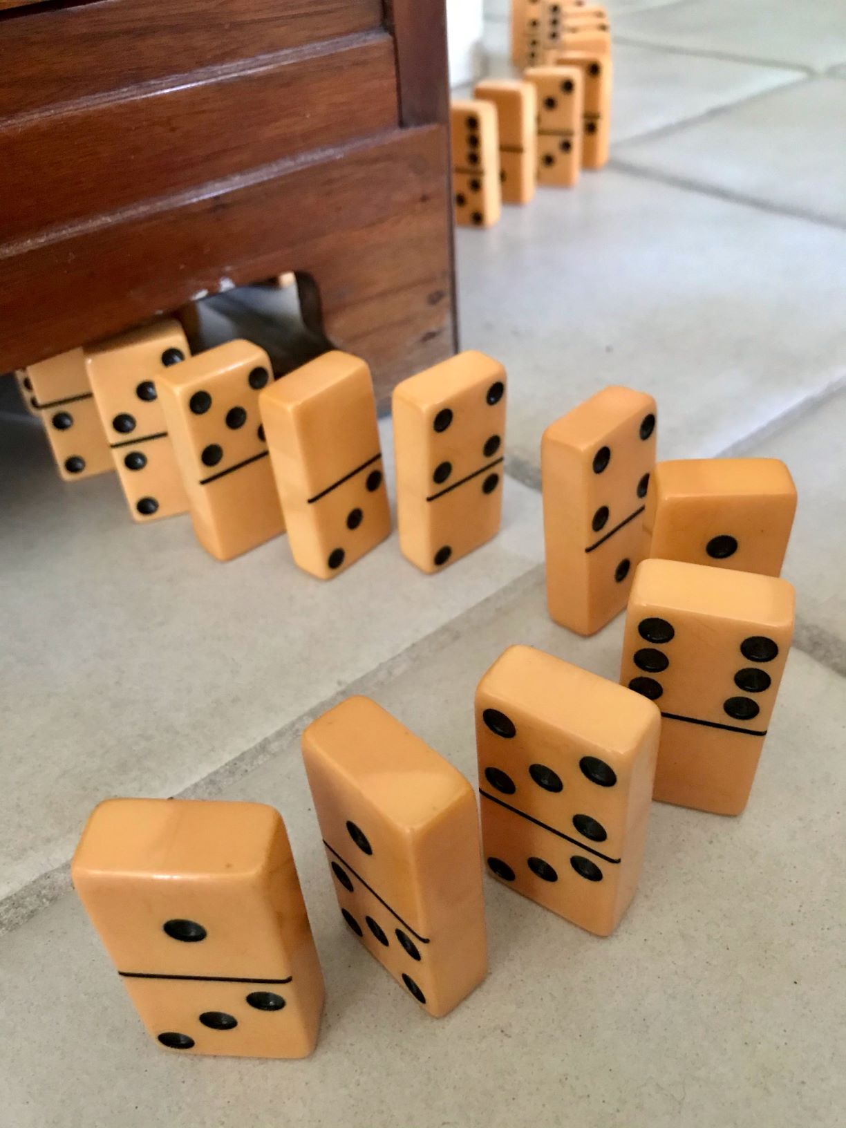 Dominoes - Marcia Lebhar - Medium